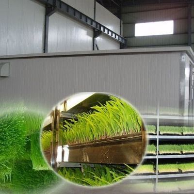 Forraje en contenedores multifuncionales para la cría de flores/hortalizas/semillas de doble capa