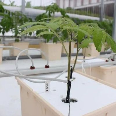 Estructura de acero Contenedor de cultivo vertical Invernadero con sistema hidropónico de múltiples tramos