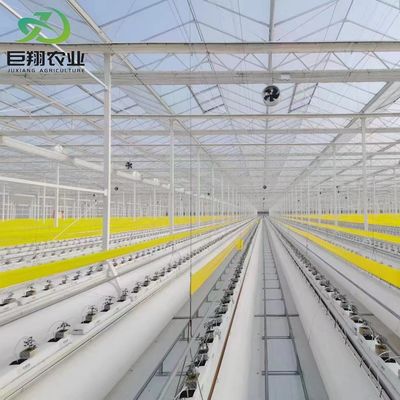 Estructura de acero Contenedor de cultivo vertical Invernadero con sistema hidropónico de múltiples tramos