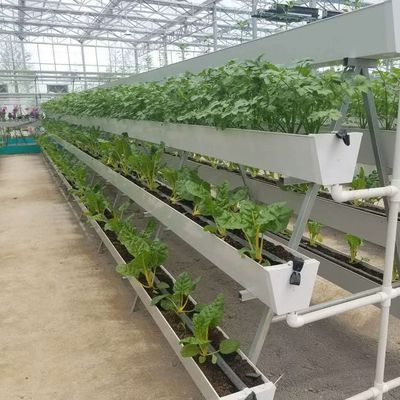 Invernadero de contenedores de cultivo verticales de gran extensión con sistema de cultivo de sustrato
