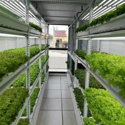 Granja de contenedores con sistema hidropónico adecuada para el cultivo de verduras, frutas y flores