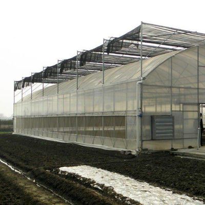 Invernadero comercial con hidroponía