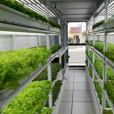 Tipo Control inteligente Agricultura Granja de contenedores hidropónicos para solicitud personalizada