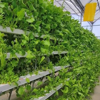 2000.000kg Peso bruto del paquete Invernadero comercial para hidroponía con control climático