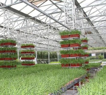 Invernadero para vegetales con película de control de humedad de múltiples tramos para optimizar el crecimiento vegetal