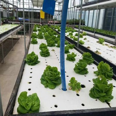 Invernadero de película adecuado para el cultivo de plántulas y económico con cubierta de láminas de plástico