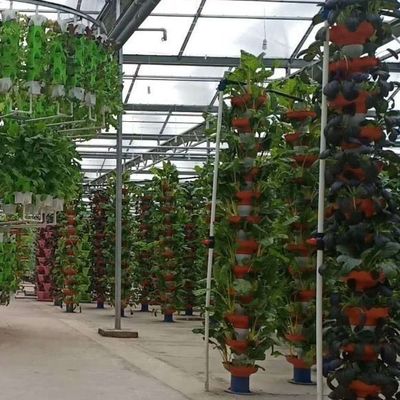 Invernadero de película adecuado para el cultivo de plántulas y económico con cubierta de láminas de plástico