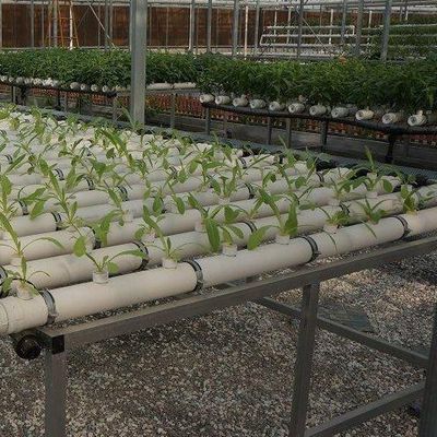 Diseño de invernaderos de cultivo de película sin suelo para verduras y método de calentamiento temporal