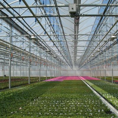 Diseño de invernaderos de cultivo de película sin suelo para verduras y método de calentamiento temporal