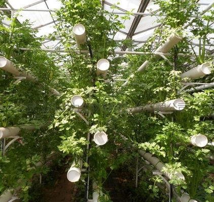 Departamento económico Invernadero de plástico con hidroponía y calefacción temporal