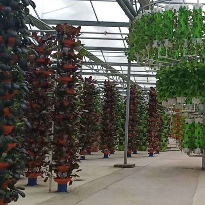 Departamento económico Invernadero de plástico con hidroponía y calefacción temporal