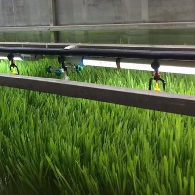 Sistema de cultivo de microgreens comercial de hidroponía en interiores con invernadero en contenedor JX