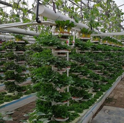 Invernadero de techo con arco de forma de techo de múltiples espacios para hidroponía controlada a temperatura