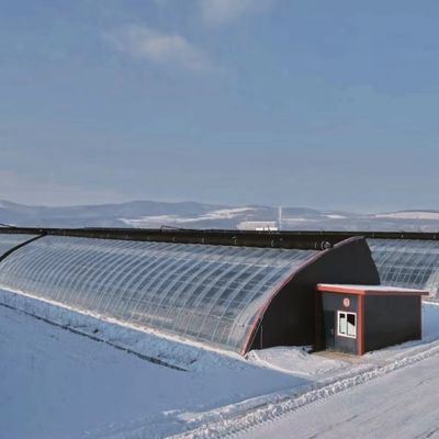 Techo arqueado Acuicultura Película vegetal Invernadero de luz solar para flor de fresa de EE.UU.