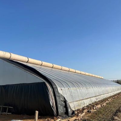 Techo arqueado Acuicultura Película vegetal Invernadero de luz solar para flor de fresa de EE.UU.