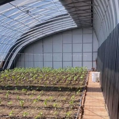 Techo arqueado Acuicultura Película vegetal Invernadero de luz solar para flor de fresa de EE.UU.