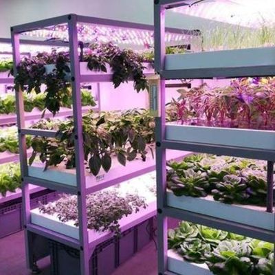Sistema de iluminación para invernaderos en contenedores Peso bruto del paquete 2000.000kg Moneda EE.UU.