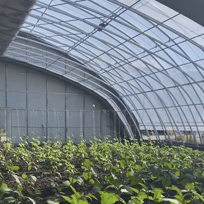 Sistema de invernadero de hidroponía con película vegetal personalizable para una eficiencia de múltiples períodos