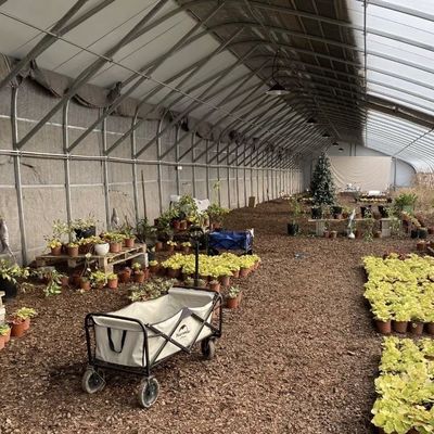 Sistema de riego por goteo para plantación de flores con estructura de acero con devolución de 30 días