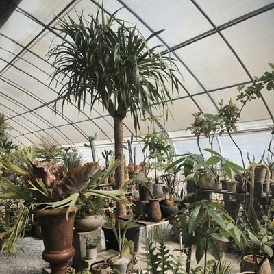 Sistema de riego por goteo para plantación de flores con estructura de acero con devolución de 30 días