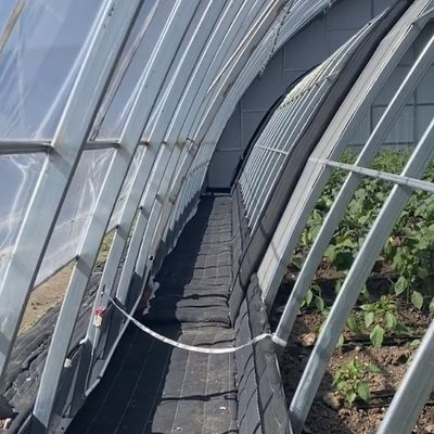 Sistema de riego por goteo para plantación de flores con estructura de acero con devolución de 30 días