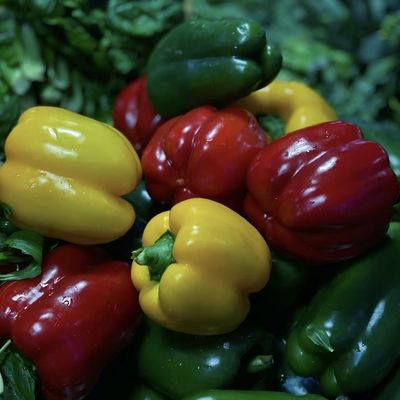 Vegetales luz solar invernadero hidroponía de espuma de riego personalización para uso comercial