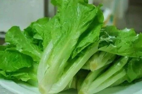 Contenedor de invernadero grande para el cultivo de vegetales de hoja sostenido por una estructura de acero