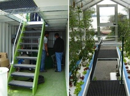 Invernadero de contenedores para transporte de verduras de hoja con techo de múltiples estiramientos y con forma de techo en forma