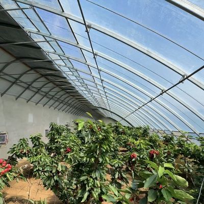 100.000kg Personalización Plantación de flores Riego por goteo Vegetales Invernadero con luz solar