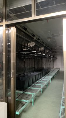 Control inteligente de la temperatura Juxiang método de calefacción de la casa del contenedor de verduras de hoja