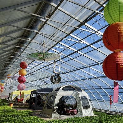 Sistema de efecto invernadero de película vegetal de larga duración para la luz solar y la flor de fresa