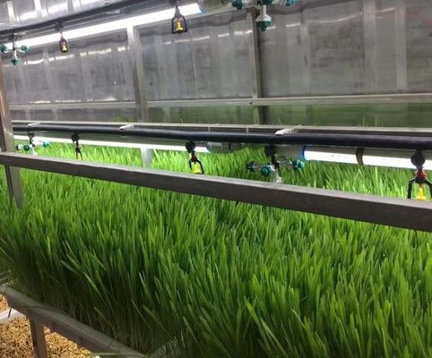 Contenedor portátil de vegetales de hoja de acero para materiales de construcción
