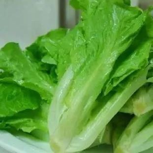 Invernadero de contenedores multi-espacio JX-CG-12 para verduras de hoja dentro de su presupuesto