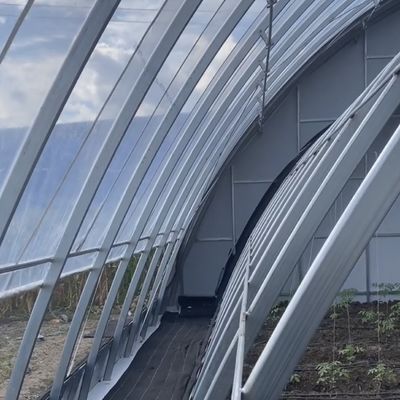 Maximice el rendimiento de sus cultivos con este invernadero de hidroponía vegetal solar grande