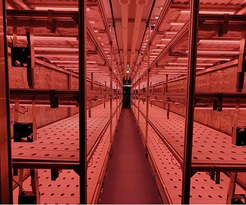 Restituciones de devoluciones Garantía de 30 días para contenedores de transporte