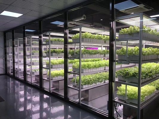 Sistema de iluminación de la agricultura de contenedores con tiempo de entrega estimado y bajo costo de envío