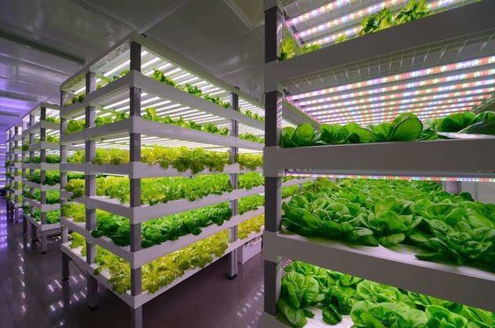 Sistema de iluminación de la agricultura de contenedores con tiempo de entrega estimado y bajo costo de envío
