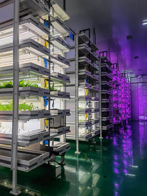 Sistema de iluminación de la agricultura de contenedores con tiempo de entrega estimado y bajo costo de envío