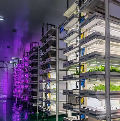 US 9.99/piece JX-H0032 Invernadero de contenedores hidropónicos verticales para transporte de vegetales