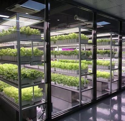 US 9.99/piece JX-H0032 Invernadero de contenedores hidropónicos verticales para transporte de vegetales
