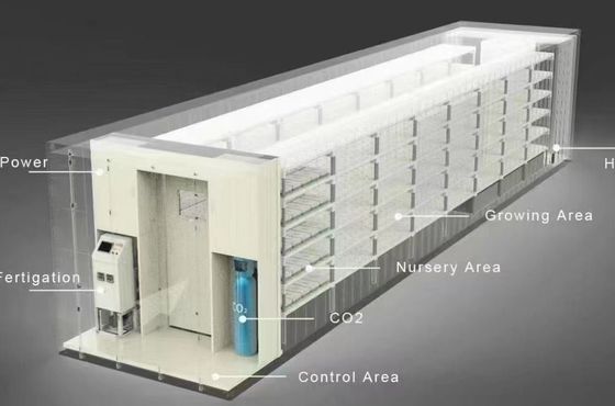 Departamento Contenedor de envío Solución de iluminación LED de invernadero para la plantación de verduras