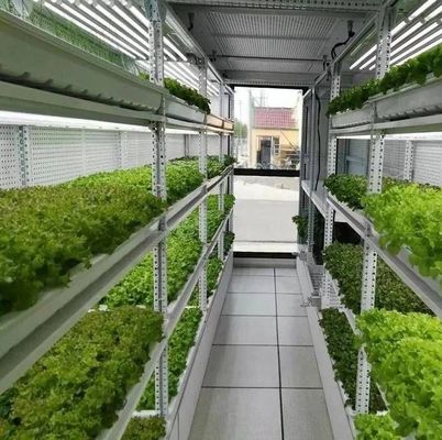 Departamento Contenedor de envío Solución de iluminación LED de invernadero para la plantación de verduras