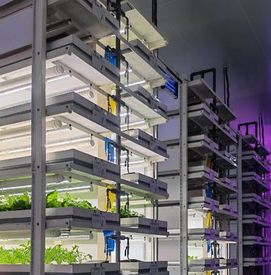 Sistema de contenedores de cultivo hidropónico vertical en invernadero en contenedor de 40FT 40HQ Reefer