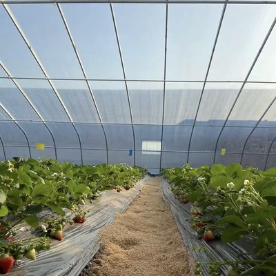 Plantación de flores Invernadero de luz solar con estructura de acero de doble o sola capa