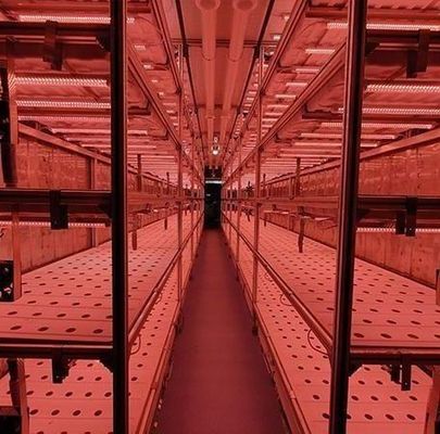 Material de cubierta de acero Sistema hidropónico de contenedores de cultivo vertical para techo en forma