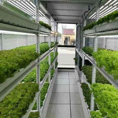 Material de cubierta de acero Sistema hidropónico de contenedores de cultivo vertical para techo en forma