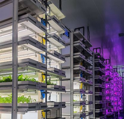 Material de cubierta de acero Sistema hidropónico de contenedores de cultivo vertical para techo en forma