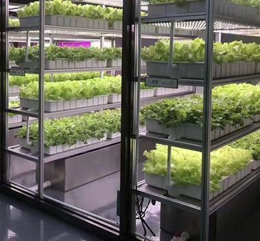 Material de cubierta de acero Sistema hidropónico de contenedores de cultivo vertical para techo en forma