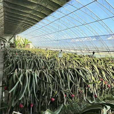 Luz solar y riego automatizado para acuaponia en invernaderos cubiertos con láminas de plástico
