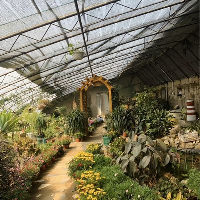 Luz solar y riego automatizado para acuaponia en invernaderos cubiertos con láminas de plástico
